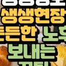 형제과일야채 - 광산구 신창로72번길 29 | 형제과일야채