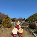 주연팜