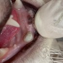 여울동물병원 이미지