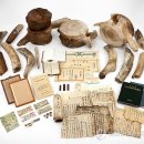 울산박물관 이미지