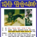 퉁이네 Daum카페