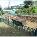 양산 신기리 지석묘 -호계리 마애여래좌상 -무아의 집(범실공소 터) : 2022. 8. 25 이미지