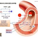 수소펜의 효능 이미지