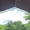 포레스트 경주(Forest 경주) 이미지