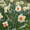 양평쉬자파크 이미지