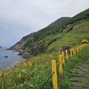 홍도밥상민박 | 홍도 흑산도 1박 2일 여행코스 홍도 가볼만한곳 명소 국내 섬여행