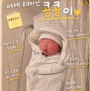 서준엄마네 | [출산후기] 아산 삼성미즈병원-토리 콩콩이 그리고 열무까지🤍