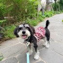 보리다움