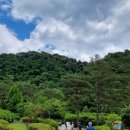 공작산생태숲 이미지