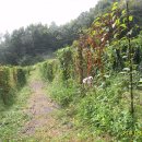 동부농약사 이미지