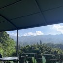 보고르 | 인도네시아 보고르 따만 사파리 방문후기