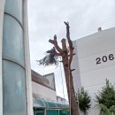 송정유치원 이미지