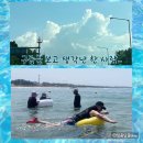 김밥천국 송림점 | 동해바다 4박5일 여름여행 요약 (방태산계곡 양양 남애해수욕장 속초 아바이마을 스노쿨링명소 울산바위...