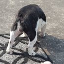 ZANYCAMP(재니캠프) 이미지