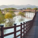 조치원낚시터 | 세종 낚시터 숨겨진 명소 3곳, 여기 진짜?