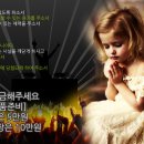 봄날꽃냥 이미지