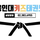 튼튼한 용인대 태권도장 이미지