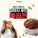 댕댕이푸드 이미지