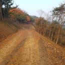 금동굴 황토 참숯가마 이미지