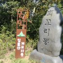 부용쉼터 | 관암지맥 3구간 구룡고개에서 합수점까지