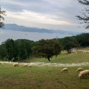 고려축산 이미지