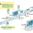 테라필의원 네이버블로그