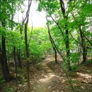 구리둘레길(2코스) 이미지