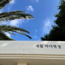 바다별장 | [제주] 제주 애월 감성 독채펜션 바다별장 솔직 후기 (가성비 숙소/내돈내산)