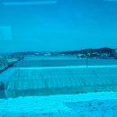 당구 친구 이미지