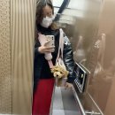 땡일리 애견 유치원 네이버블로그