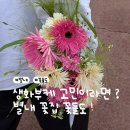 두물로 11 | W30. 남양주 별내 꽃집 꽃들도 촬영용 생화부케 내돈내산 주문 후기｜가격, 주차