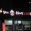 박종팔챔피언돼지