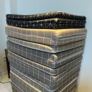 펜톤나인 이미지