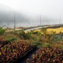 추평농장 이미지