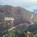 청풍임업