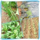 호정농장 이미지