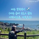 뷰티플리조트 | 제주 한달살기 제주 올레 8코스 완주 제주오름 베릿내오름 대포포구