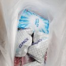 도내흑염소 이미지