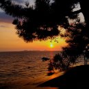 마량포 해넘이.해돋이 축제 이미지