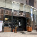 와일드플라워(WildFlour)