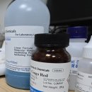 유스비전스쿨 | 이 우주에서 가장 따뜻한 나날들