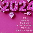 창이 행정사 사무소 이미지