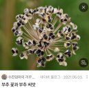 자양꽃직매장 | 2024년 10월 일상