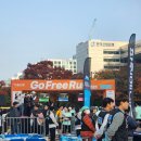 프리런 | 2025 고프리런(서울신문) 후기(11월 가을 단풍 마라톤)