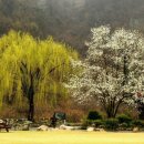 킹 당구클럽 이미지