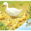 미운오리새끼 이미지