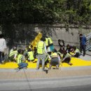 옐로카펫 이미지