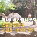 리버파크호텔 | 발리 마라 리버 사파리 롯지 호텔 솔직 후기, 동물은 좋은데 시설은 어쩔?