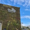 고대~현대 미술사 여행, 미술을 읽다(화)14:00 | 부산현대미술관 전시 힐마 아프 클린트 주차 준비물 도슨트