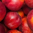 승주농장 이미지